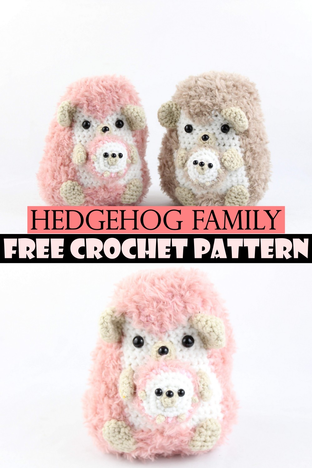 Hedgehog Family
