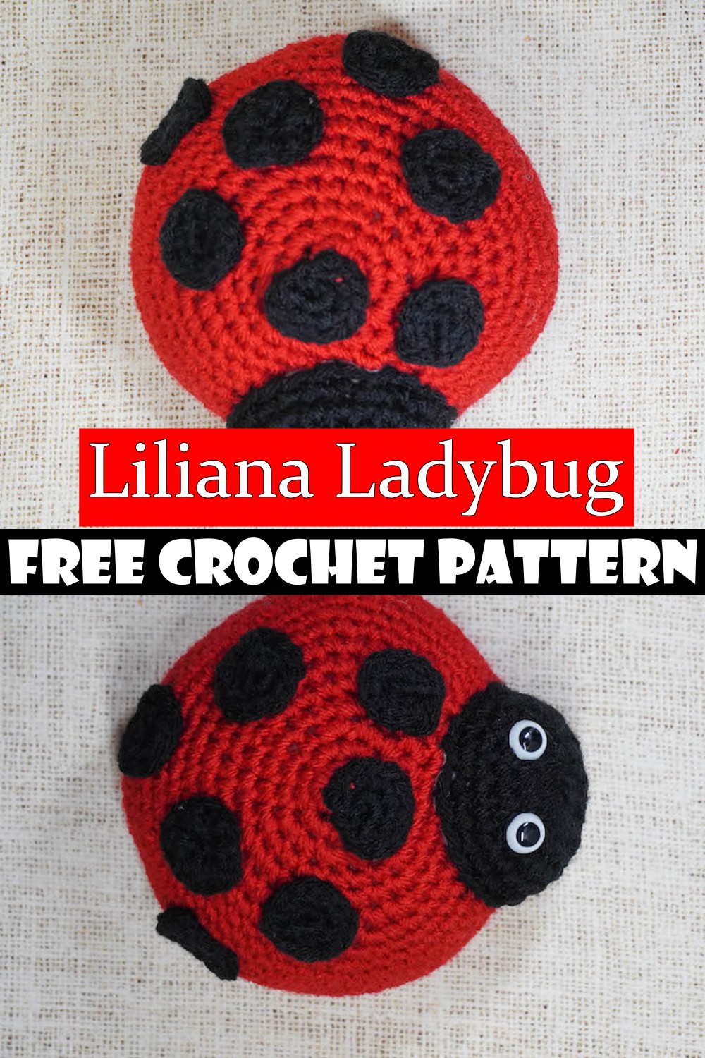 Liliana Ladybug