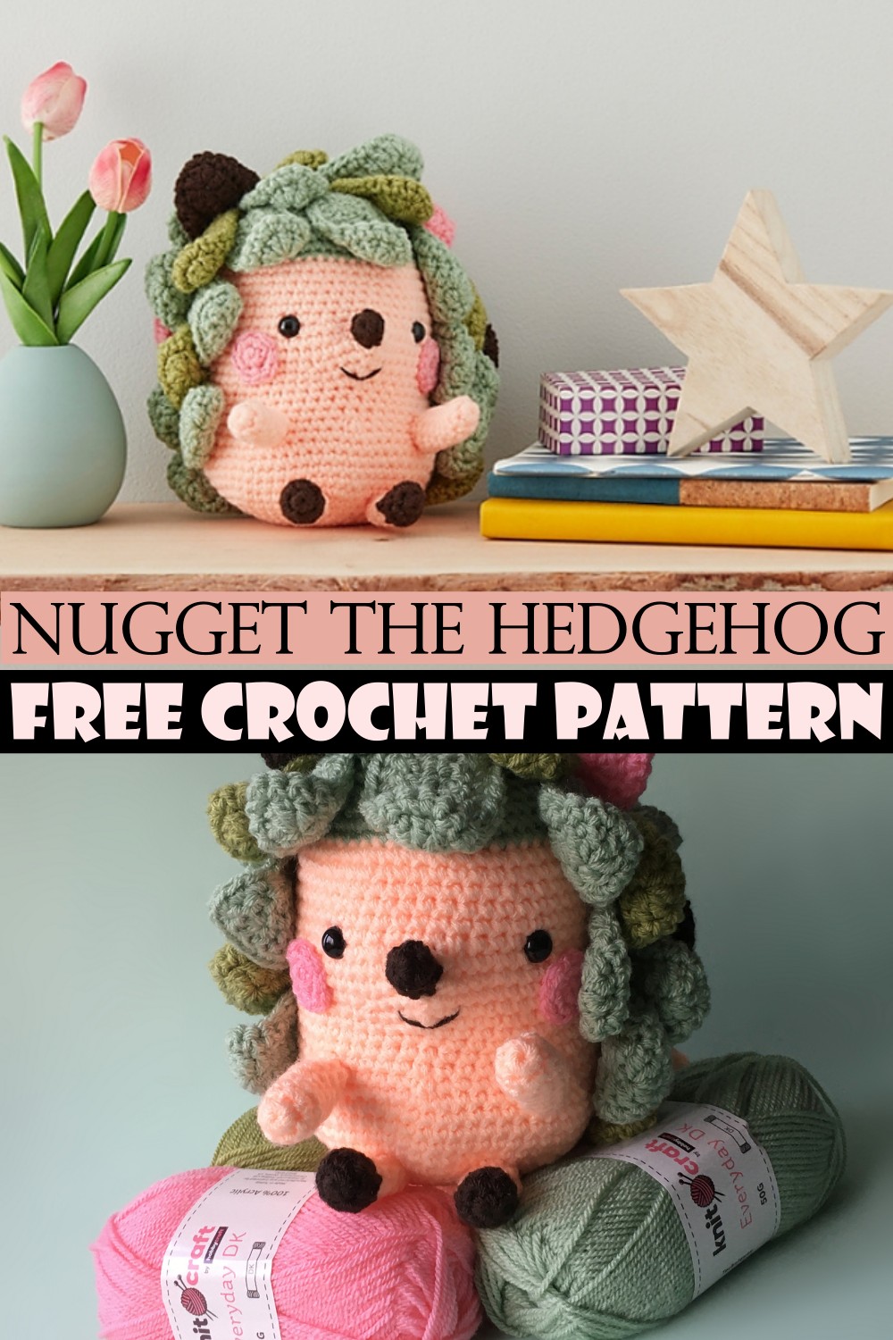 Nugget The Hedgehog