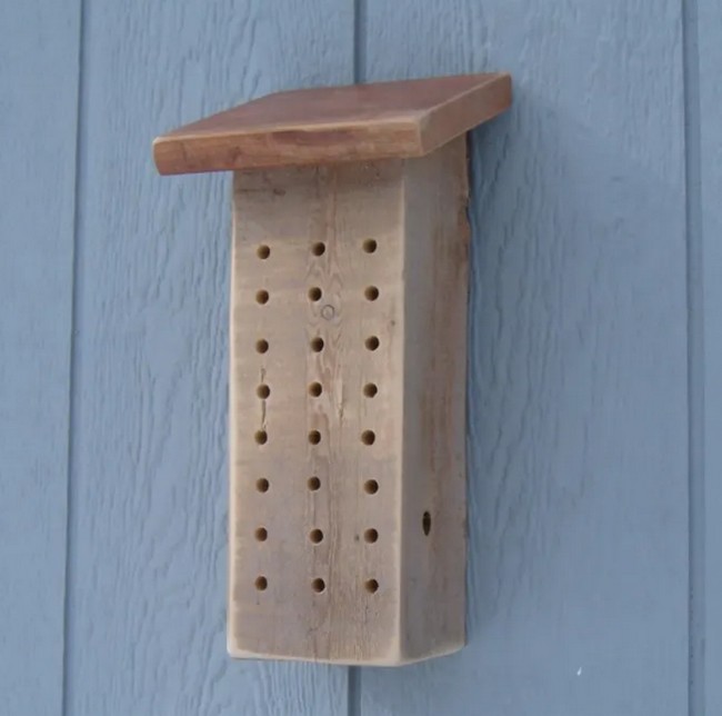 Make A Bee Hotel From Recycled Materials