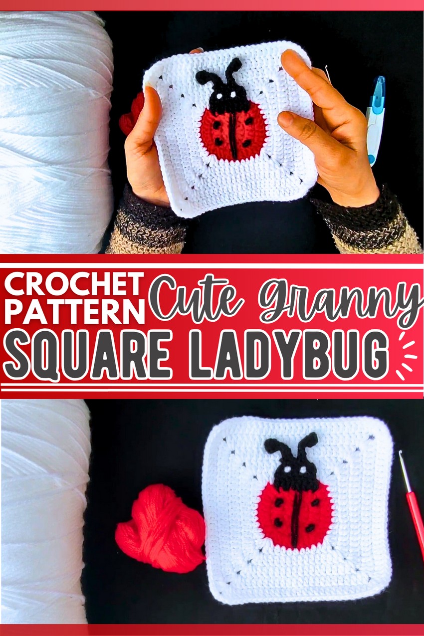  Crochet Lady Bug Granny square 