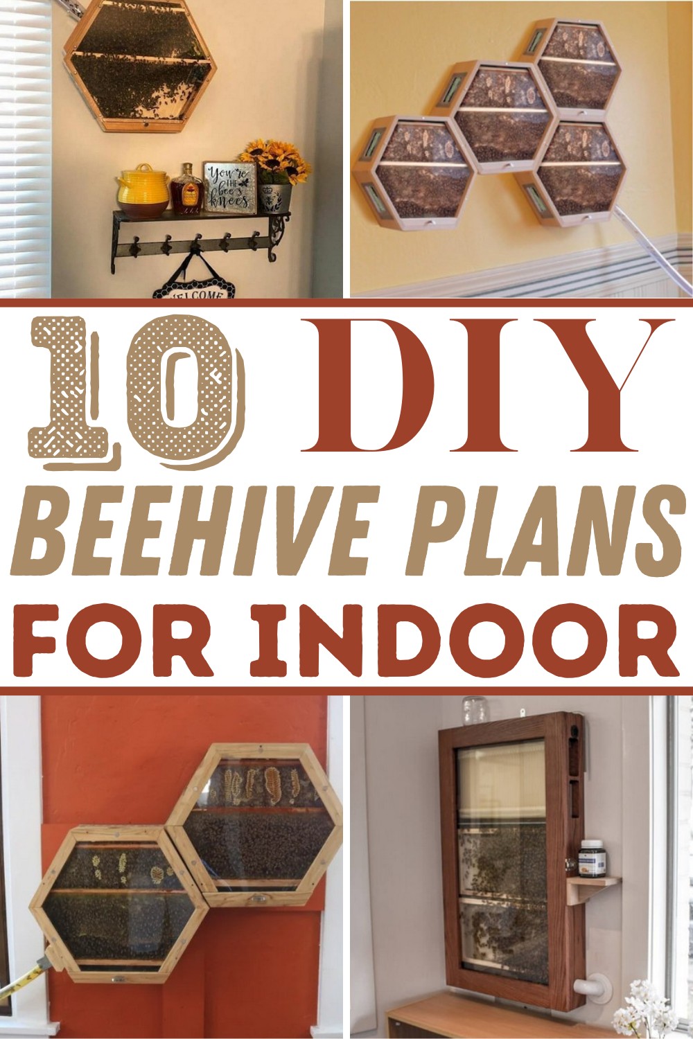 10 DIY Beehive Plans For Indoor Decorations
