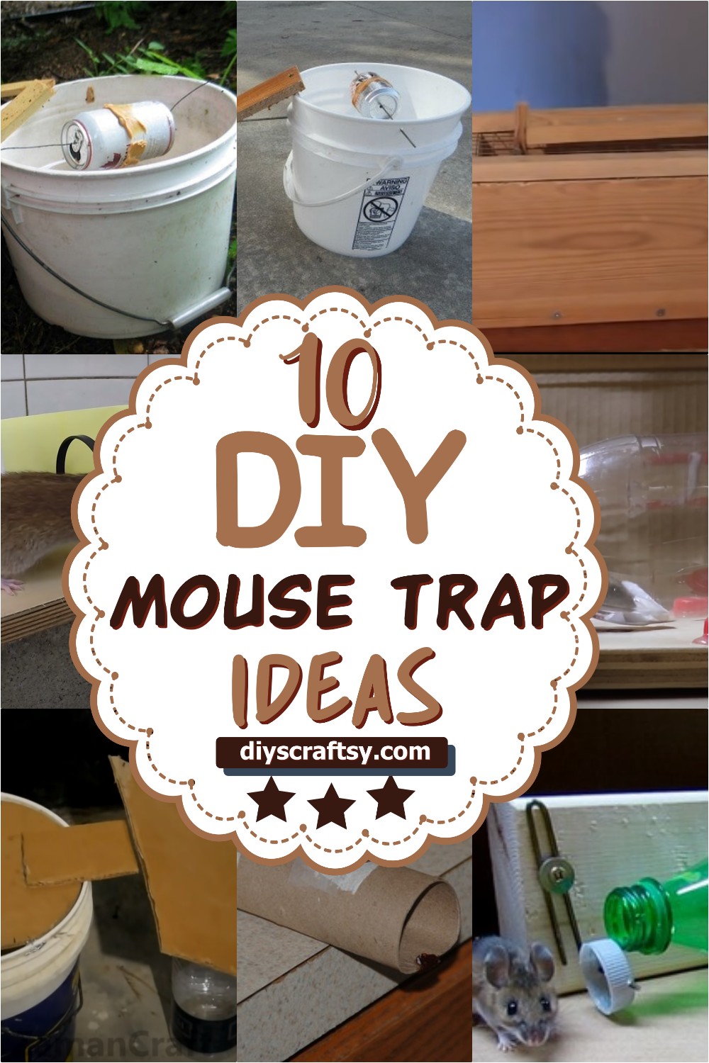10 DIY Mouse Trap Ideas