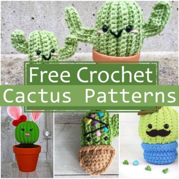 21 Free Crochet Cactus Patterns For Plant Lovers - DIYsCraftsy