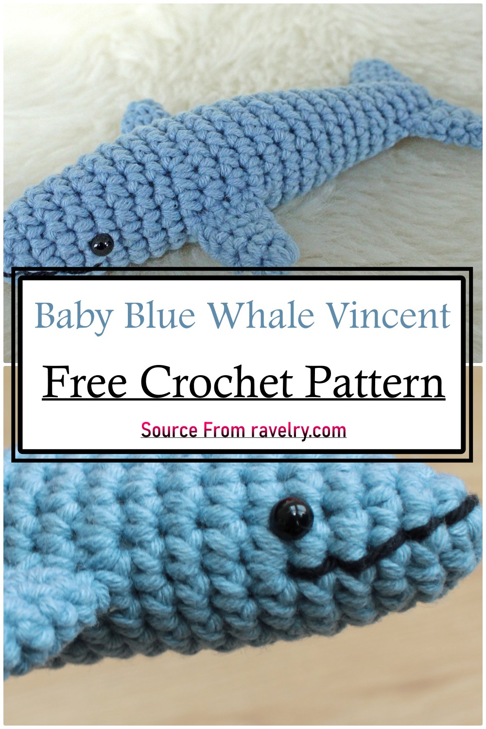 Baby Blue Whale Vincent