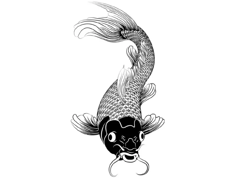 Koi Fish Attract Happiness and Wealth
