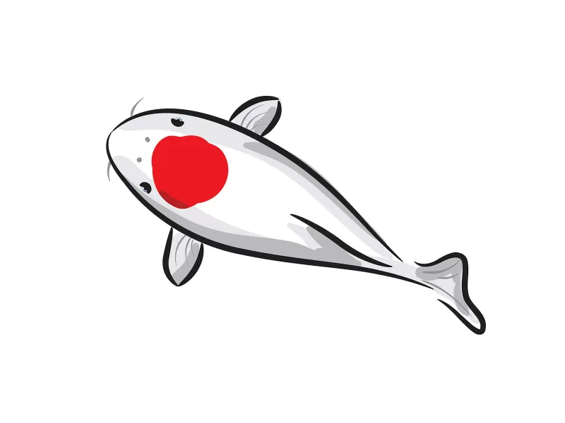 Koi Fish Drawings
