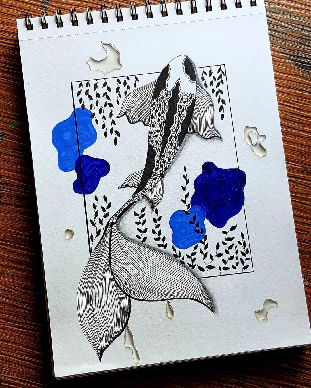 Koi Fish with Blue Waters