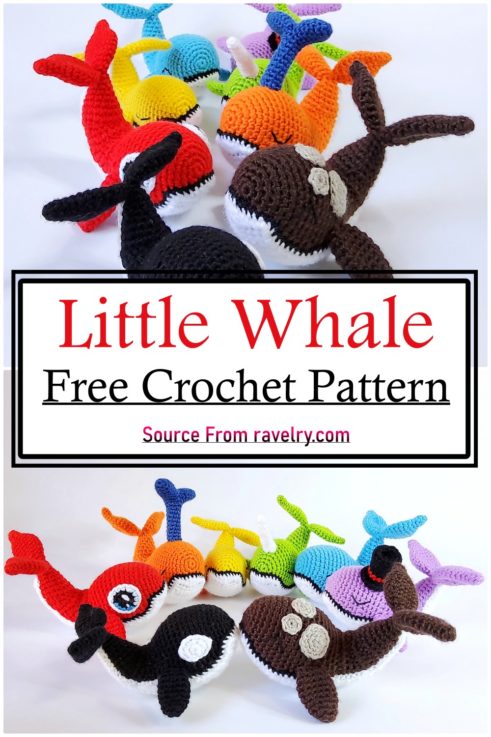 Little Whale