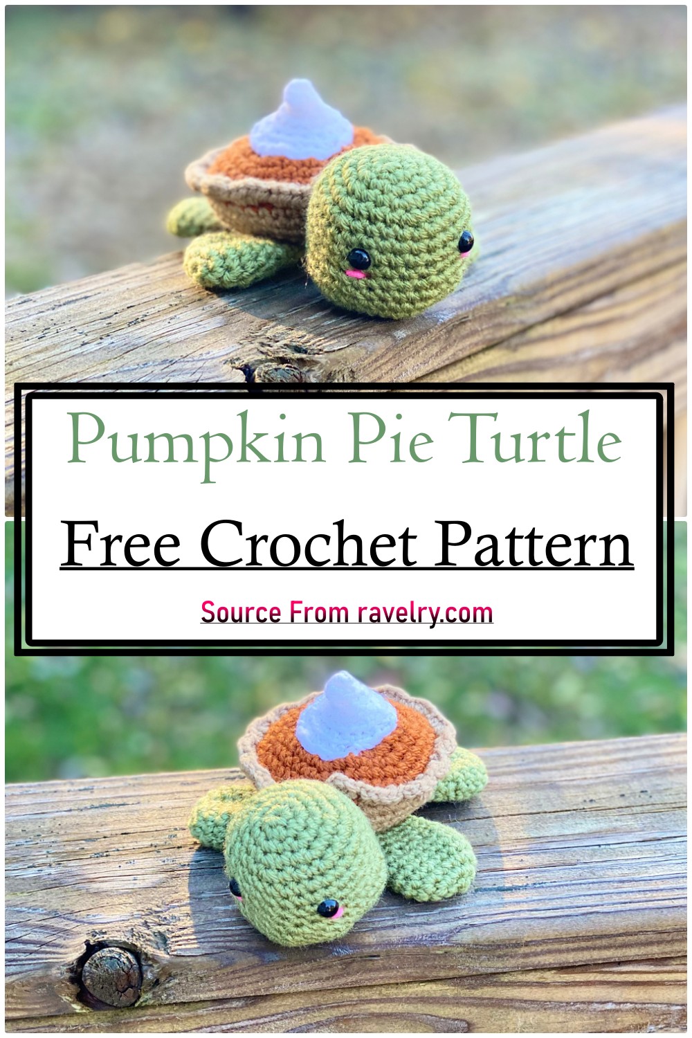 Pumpkin Pie Turtle
