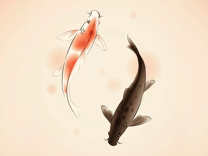 The Balance of Yin and Yang