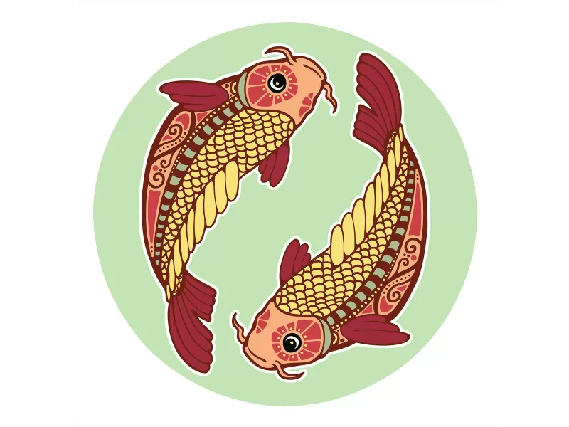 Two Koi Fish