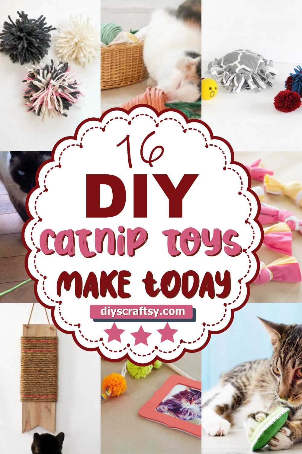 16 DIY Catnip Toys You Can Make Today DIYsCraftsy