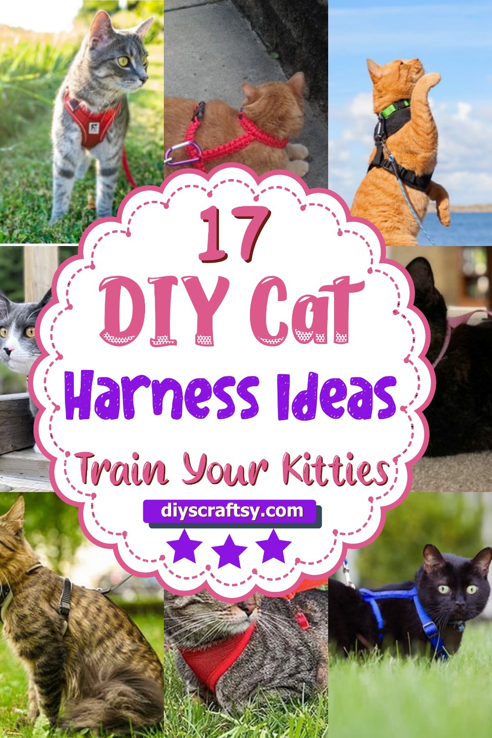 17 DIY Cat Harness Ideas To Train Your Kitties DIYsCraftsy