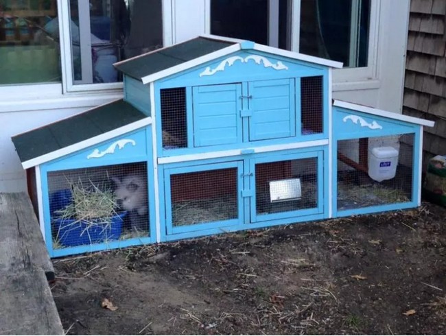 Building A Raised Base For A Rabbit Hutch