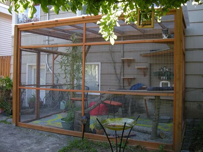 Building The Purrfect Outdoor Catio