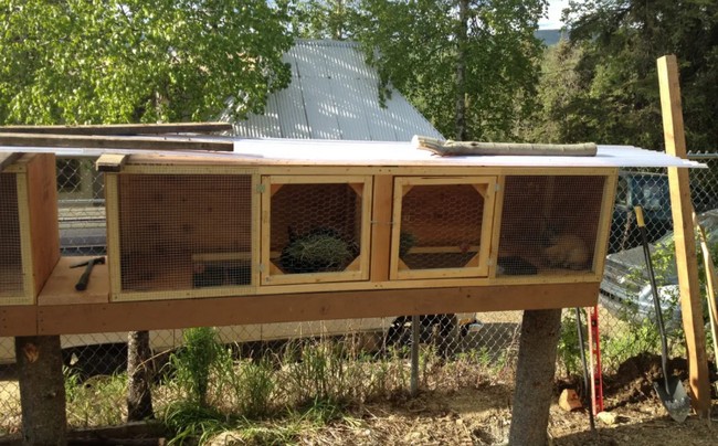 Cold-Weather Rabbit Hutch Plans