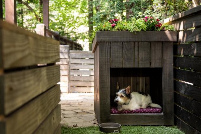 Create Designer Digs For Your Dog Using An Upcycled Pallet