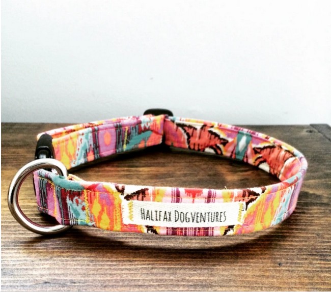 DIY Adjustable Dog Collar