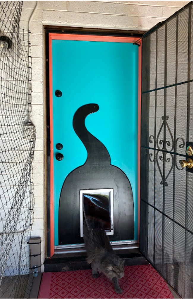 DIY Cat Door Catification Makeover