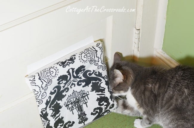 DIY Cat Door Fix