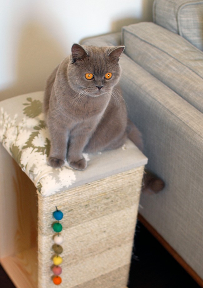 DIY Modern Cat Scratcher