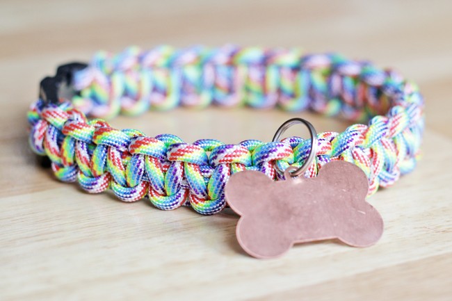 DIY Rainbow Paracord Dog Collar