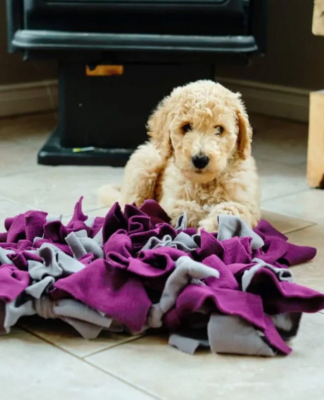 DIY Snuffle Mat For Dogs
