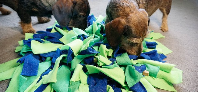 DIY Snuffle Mat