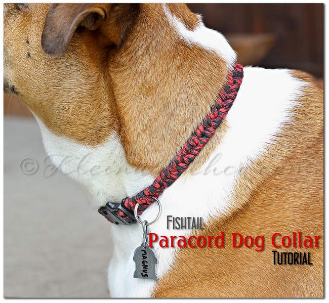 Fishtail Paracord Dog Collar