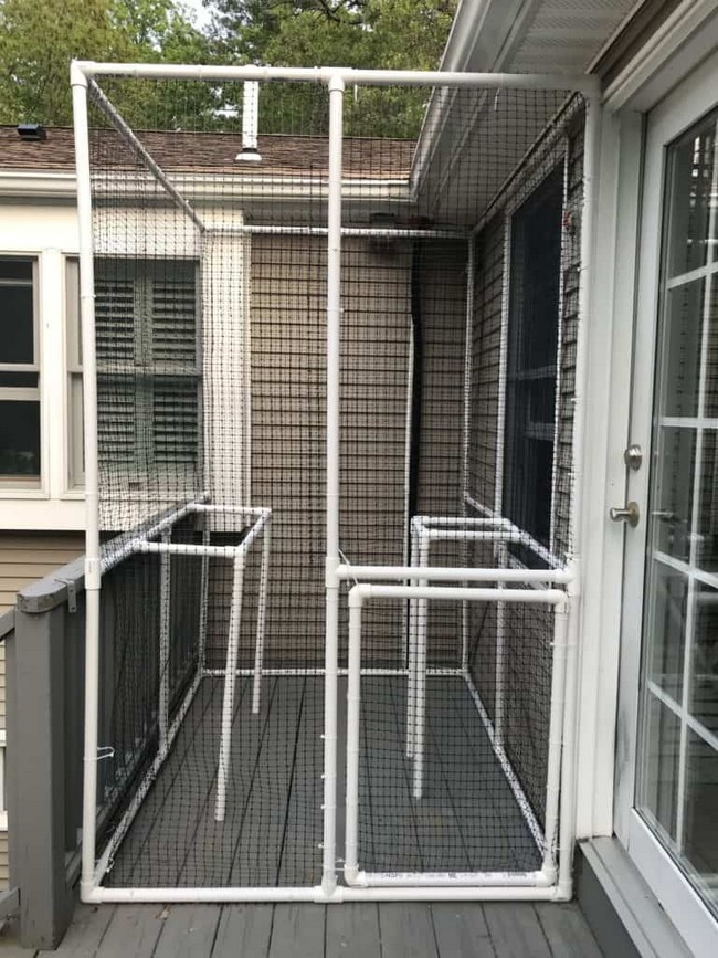 How To Build A Catio With Pvc Pipes