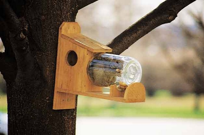 How To Make A DIY Squirrel Feeder