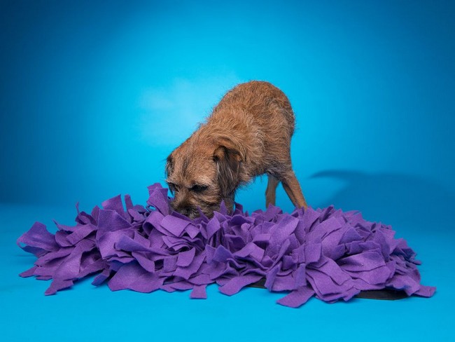 How To Make A Snuffle Mat For Your Dog