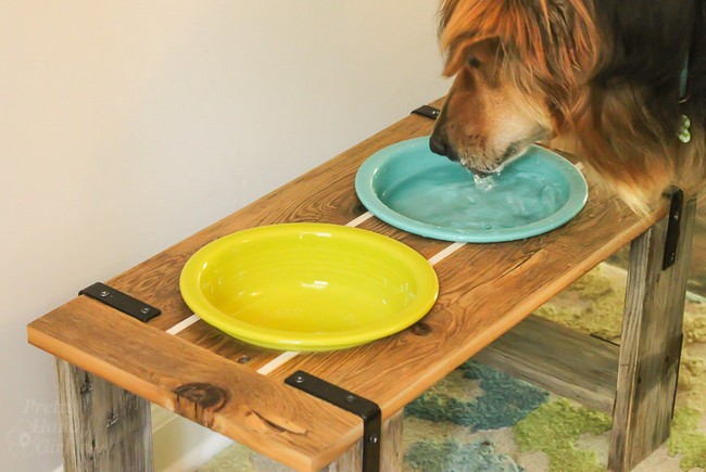 Industrial Dog Bowl Feeder Stand