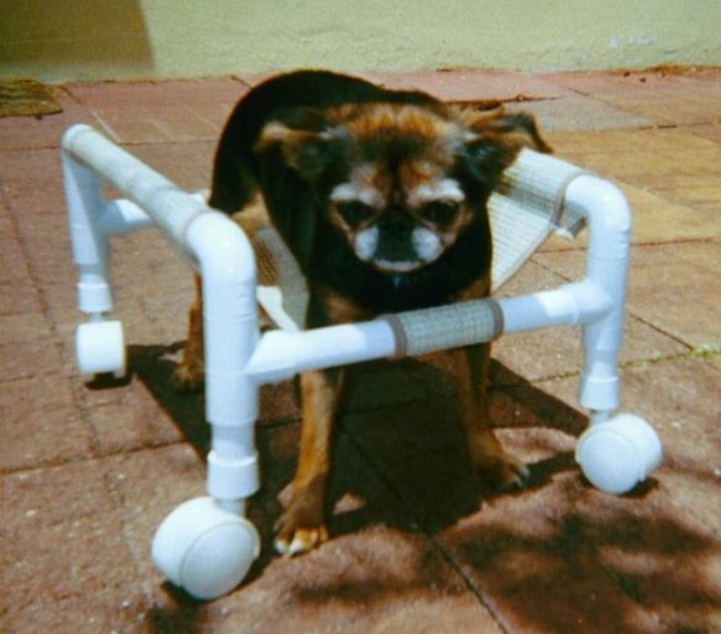 Lanies Homemade Dog Wheelchair
