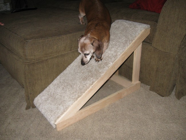 Pet Ramp
