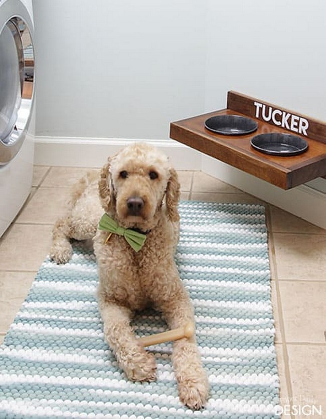 Raised Pet Feeder & Dog Days Of Summer Giveaway