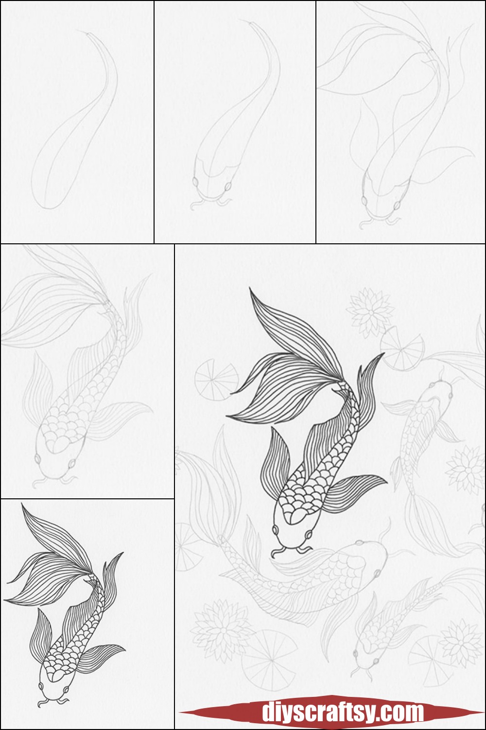 Step By Step Guide To Draw Koi Fish
