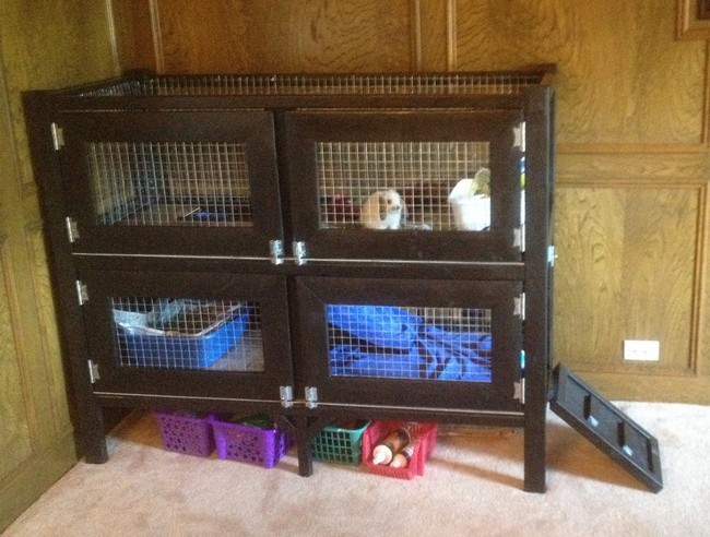 Two Story Rabbit Hutch