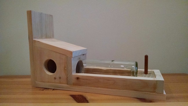 Wine Bottle Squirrel Or Chipmunk Feeder