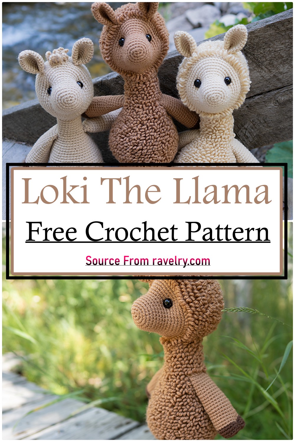 Loki The Llama