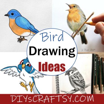 25 Simple Bird Drawing Ideas For Kids