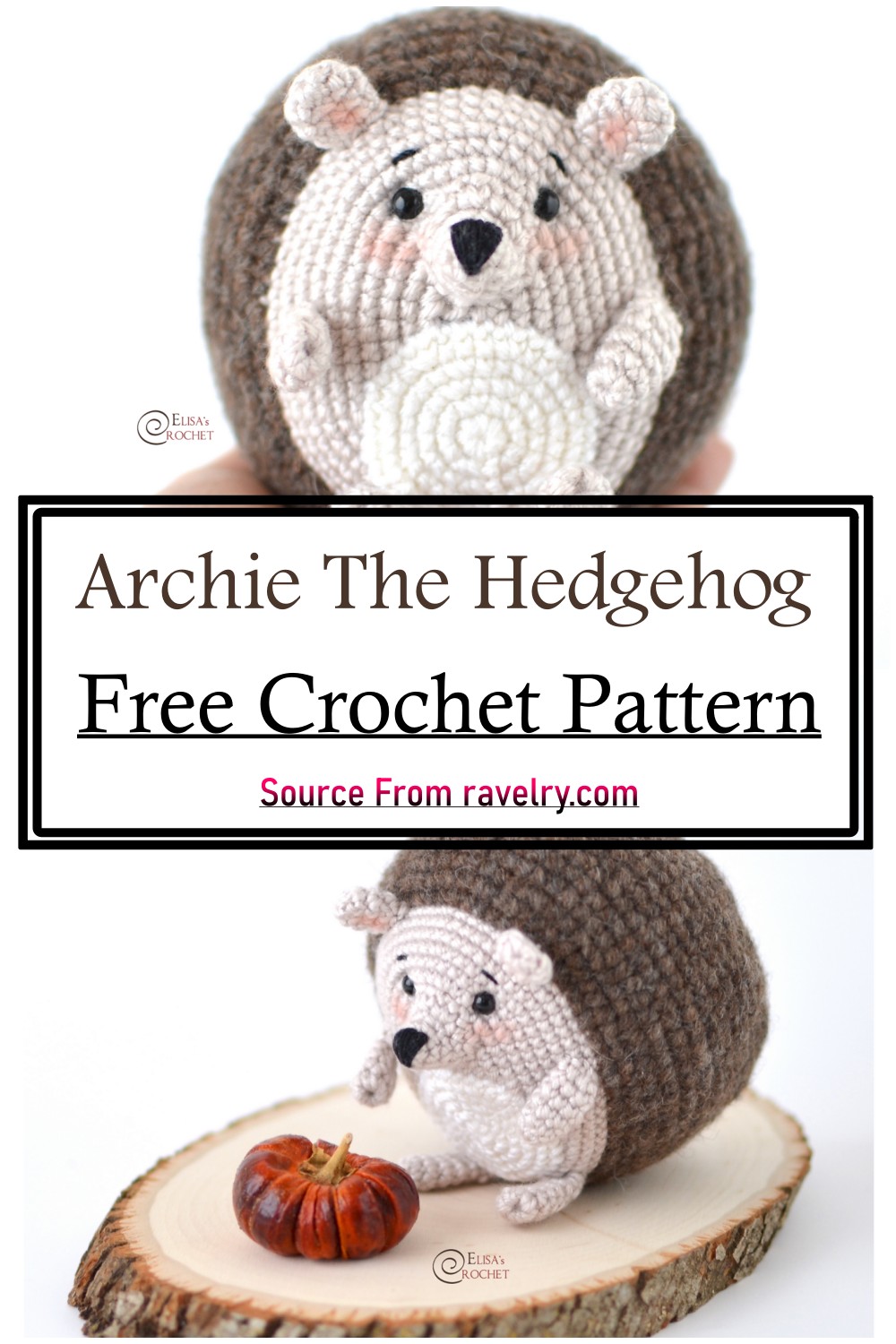 Archie The Hedgehog