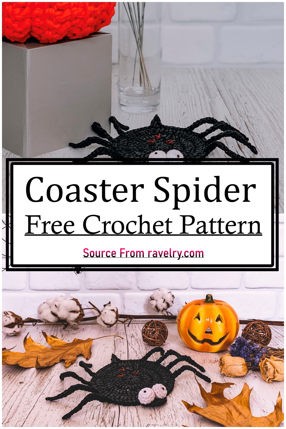 Coaster Spider