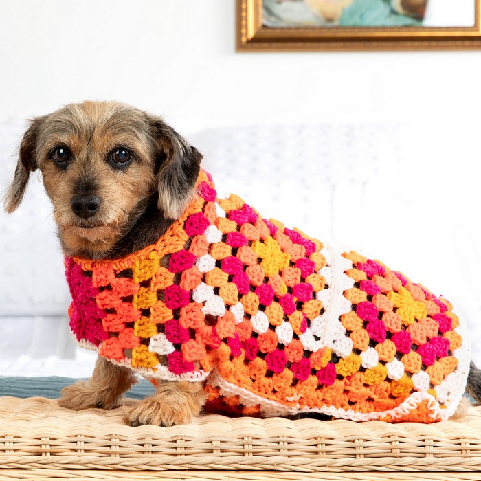 Crochet Granny Dog Sweater
