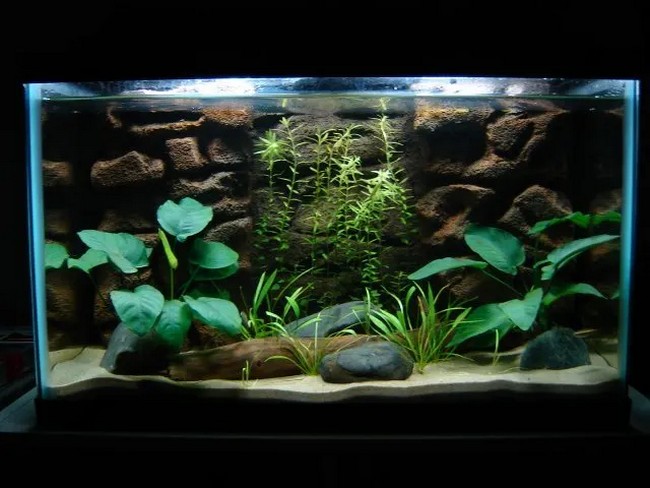 DIY Fish Aquarium Background