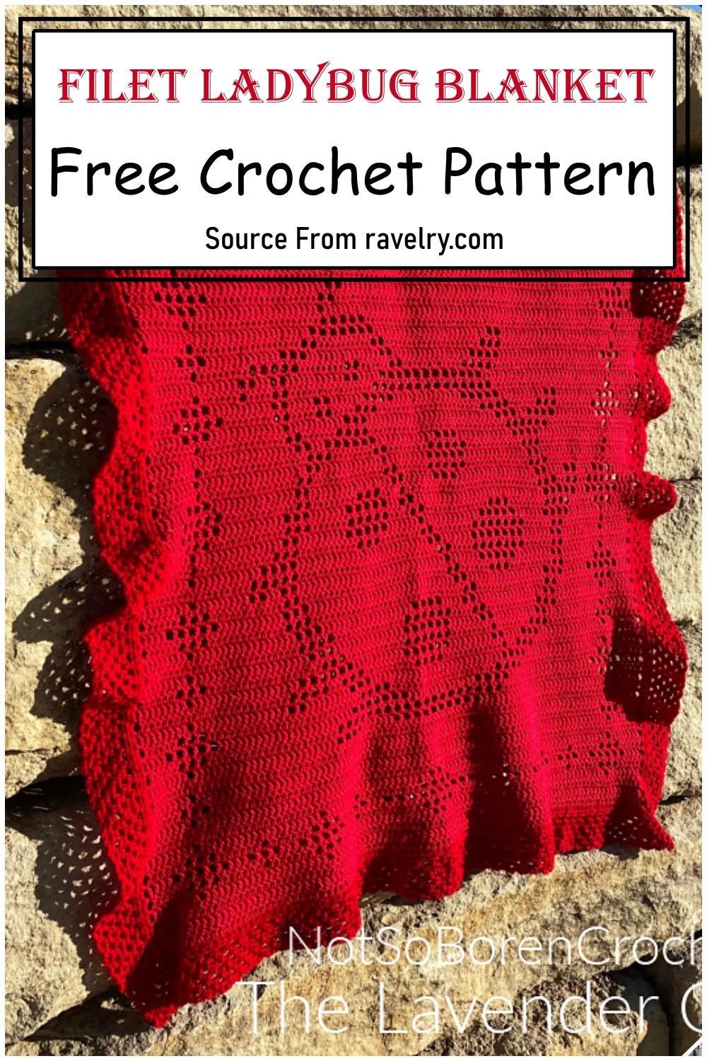 Filet Ladybug Blanket