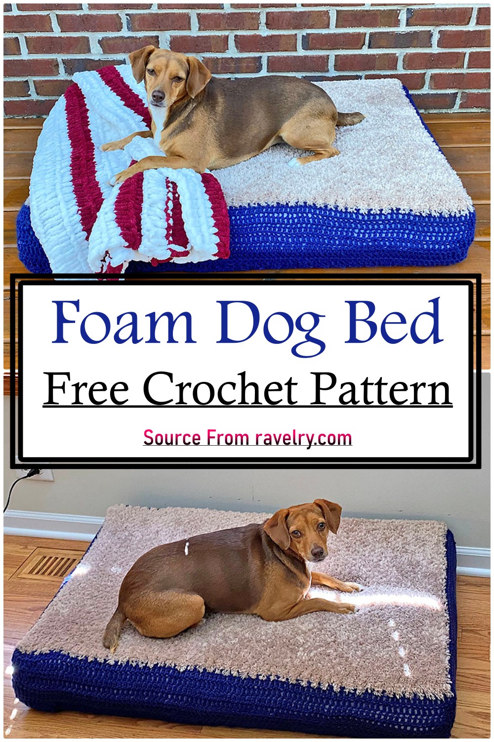 Foam Dog Bed