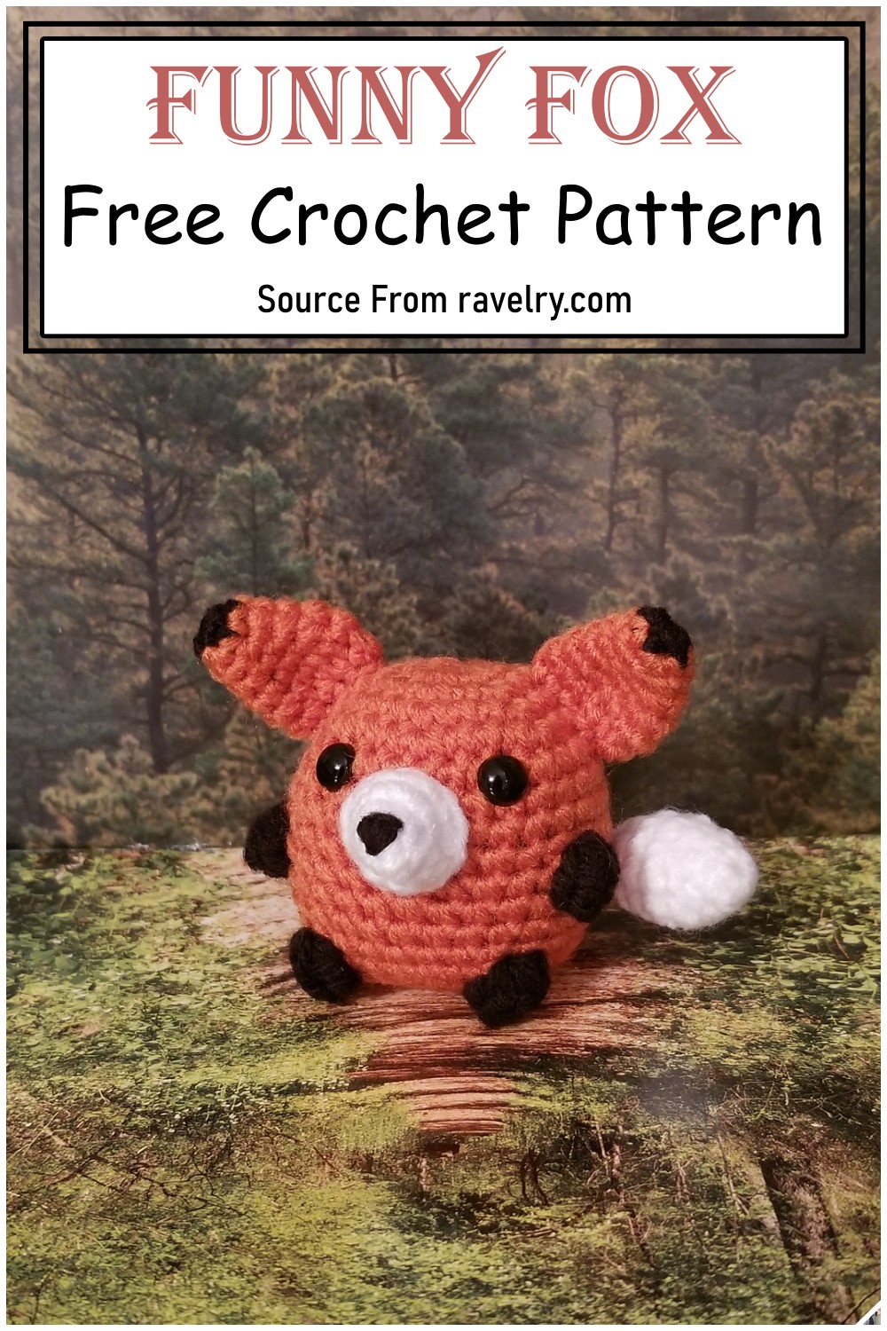 Funny Fox