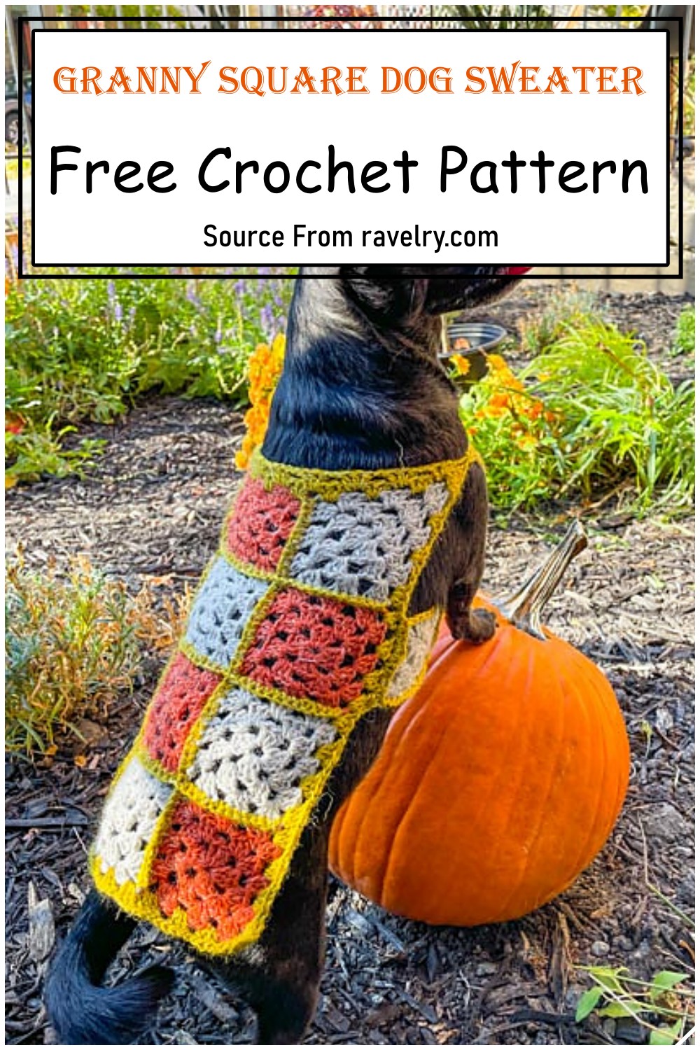 21 Crochet Dog Sweater Patterns DIYsCraftsy